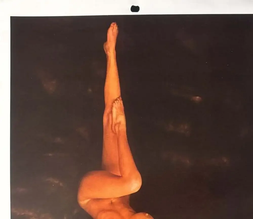 1973 Playboy Wall Calendar